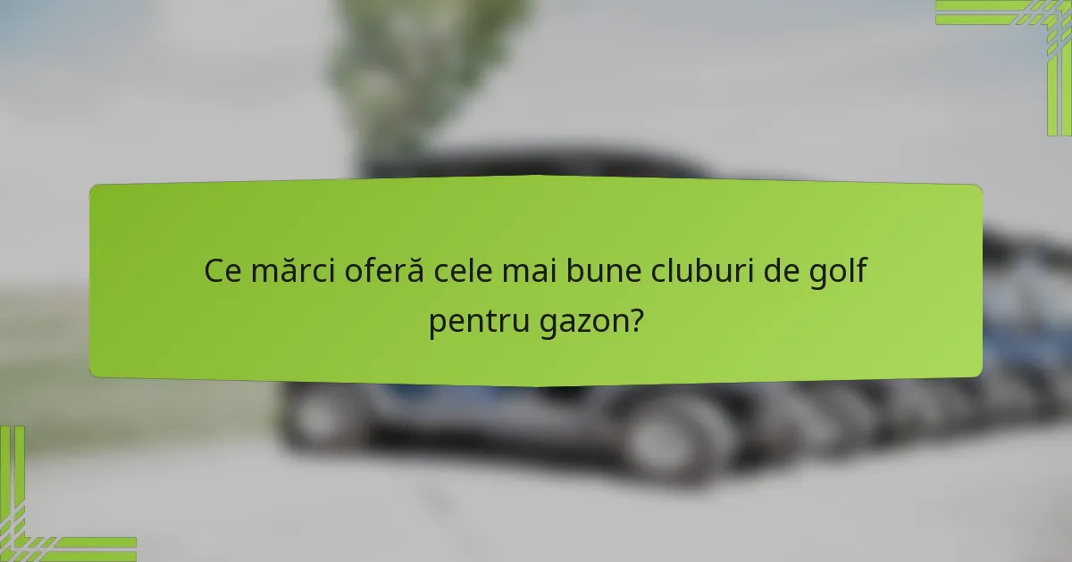 Ce mărci oferă cele mai bune cluburi de golf pentru gazon?